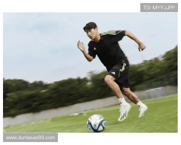 李刚仁技术特点