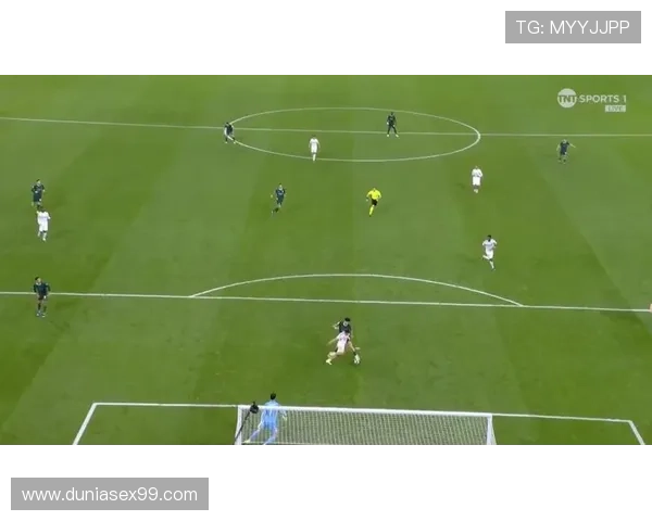 库尔图瓦：身高优势如何极致体现于覆盖范围与扑救极限